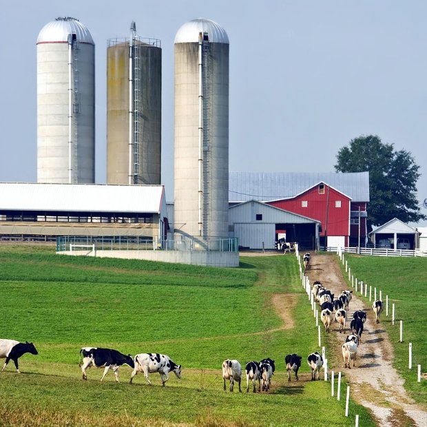 Dairy farm with methane sources